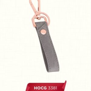 HOCG 3381