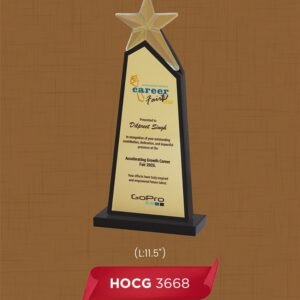 HOCG 3668