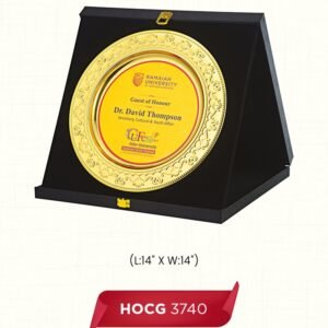 HOCG 3740