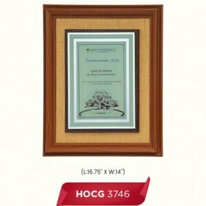 HOCG 3746