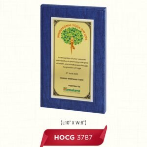 HOCG 3787