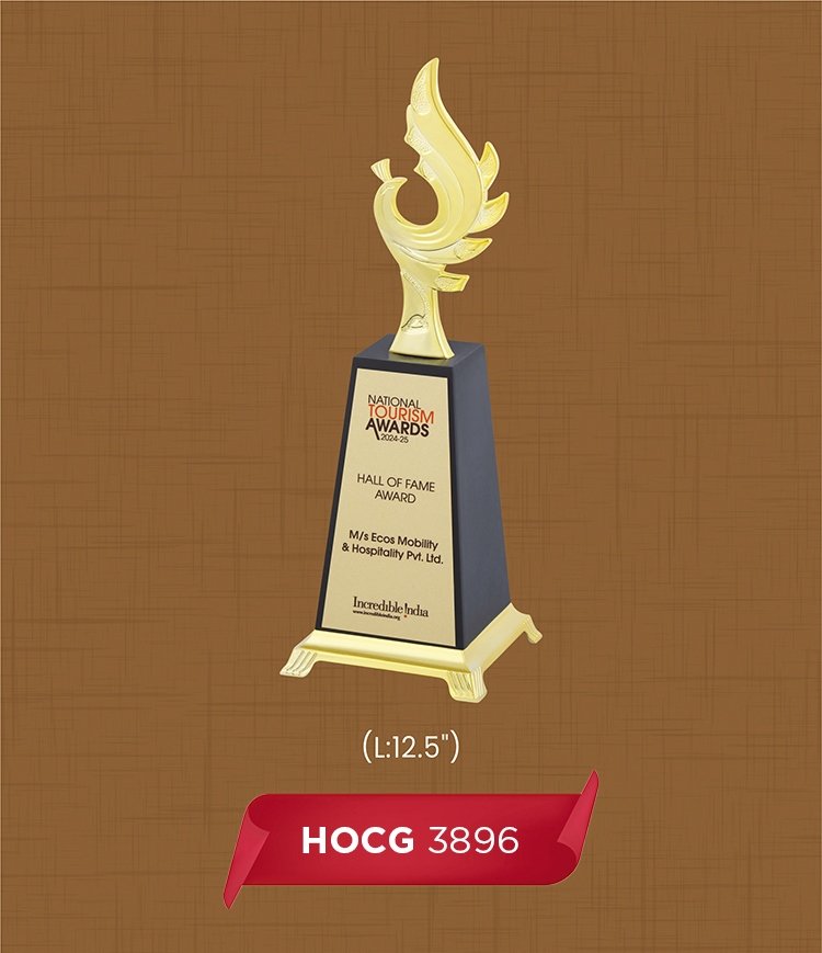 HOCG 3896