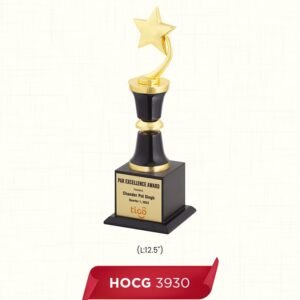 HOCG 3930