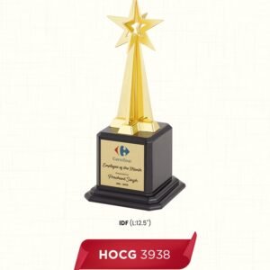 HOCG 3938
