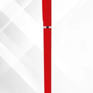 HO 3008