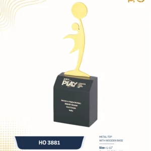 HO 3881