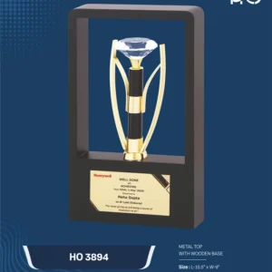 HO 3894