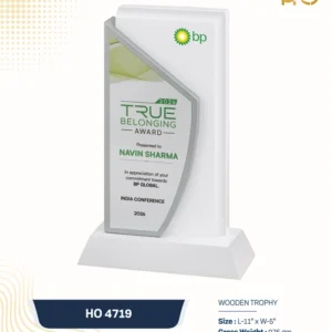 HO 4719