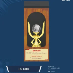HO 4869
